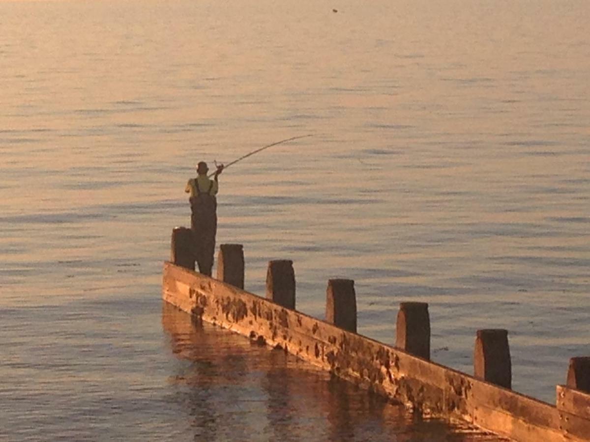 2 Yr Hen Fanc Daire Aberaeron Dış mekan fotoğraf